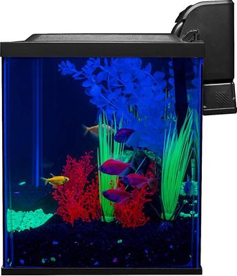 Show full view: GloFish Aquarium Kit, 10-gal slide 2 of 3