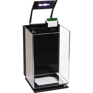 GloFish Aquarium Kit, 5-gal