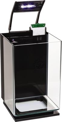 Show full view: GloFish Aquarium Kit, 5-gal slide 3 of 7