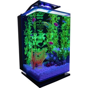 GloFish Aquarium Kit, 5-gal