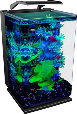 Show full view: GloFish Aquarium Kit, 5-gal slide 5 of 7