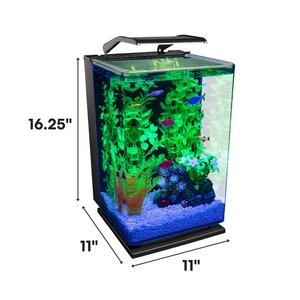 GloFish Aquarium Kit, 5-gal