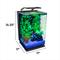 Show in main carousel: GloFish Aquarium Kit, 5-gal slide 2 of 7