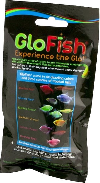 Show full view: GloFish Aquarium Plant, Orange, Small slide 3 of 5