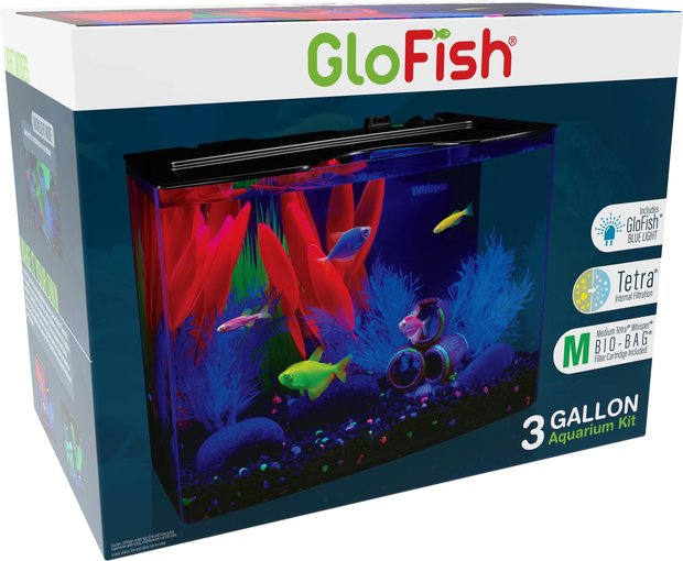 Curated visual reference: Picture Idea: 5 Gallon Fish Tank Free Shipping