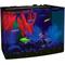 Show in main carousel: GloFish Aquarium Starter Kit, 3-gal slide 3 of 5