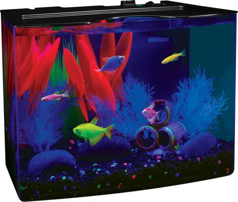 Show full view: GloFish Aquarium Starter Kit, 3-gal slide 3 of 5