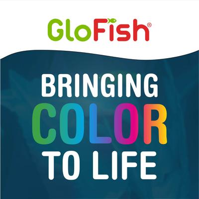Show full view: GloFish Betta Aquarium Water Balance, 2-fl oz bottle slide 8 of 10