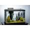 Show in main carousel: GloFish Decor Heater & Filter Aquarium Kit with LED Lights, 20-gal slide 7 of 9