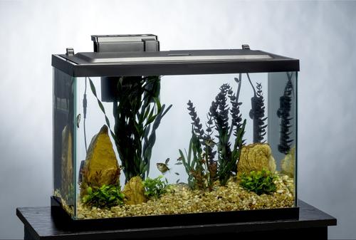 Show full view: GloFish Decor Heater & Filter Aquarium Kit with LED Lights, 20-gal slide 7 of 9