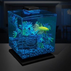 GloFish Fluorescent Aquarium Gravel, 5-lb bag, Pearlescent