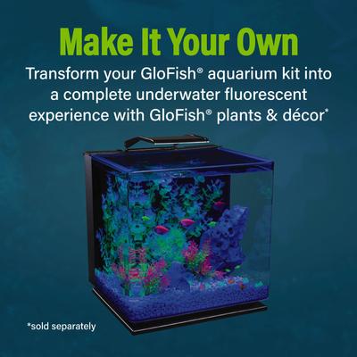 Show full view: GloFish Glass Aquarium Kit, 10-gal slide 3 of 9
