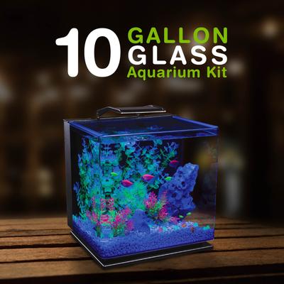 Show full view: GloFish Glass Aquarium Kit, 10-gal slide 7 of 9