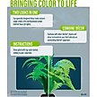 Show in main carousel: GloFish Green Fern Aquarium Plant slide 2 of 9