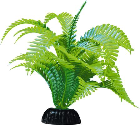 Show full view: GloFish Green Fern Aquarium Plant slide 4 of 9