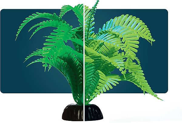 Show full view: GloFish Green Fern Aquarium Plant slide 5 of 9