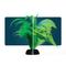 Show in main carousel: GloFish Green Fern Aquarium Plant slide 5 of 9