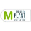 Show in main carousel: GloFish Green Fern Aquarium Plant slide 7 of 9