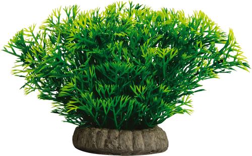 Show full view: GloFish Javamoss Aquarium Plant slide 3 of 10