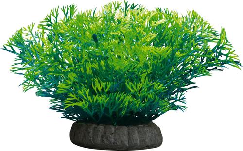 Show full view: GloFish Javamoss Aquarium Plant slide 4 of 10