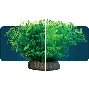 GloFish Javamoss Aquarium Plant