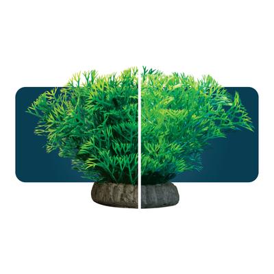 Show full view: GloFish Javamoss Aquarium Plant slide 5 of 10