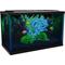 Show in main carousel: GloFish LED Lighting & Filter Aquarium Kit, 5-gal slide 3 of 10