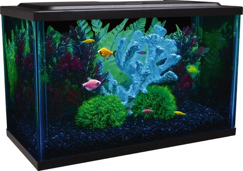 Show full view: GloFish LED Lighting & Filter Aquarium Kit, 5-gal slide 3 of 10