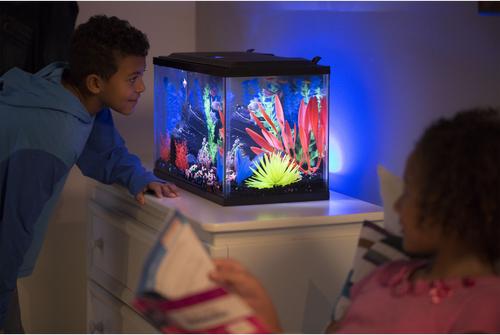 Show full view: GloFish LED Lighting & Filter Aquarium Kit, 5-gal slide 6 of 10