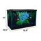 Show in main carousel: GloFish LED Lighting & Filter Aquarium Kit, 5-gal slide 2 of 10