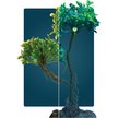 Show in main carousel: GloFish Mangrove Aquarium Plant slide 4 of 10