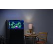 Show in main carousel: GloFish Mangrove Aquarium Plant slide 6 of 10
