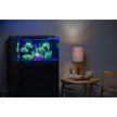 Show in main carousel: GloFish Mangrove Aquarium Plant slide 7 of 10