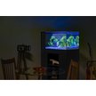 Show in main carousel: GloFish Mangrove Aquarium Plant slide 8 of 10