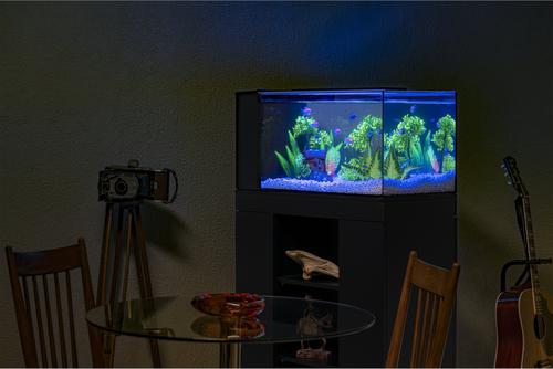 Show full view: GloFish Mangrove Aquarium Plant slide 8 of 10