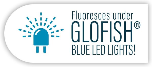 Show full view: GloFish Mini Anemone Aquarium Ornament, 2 Count slide 7 of 10