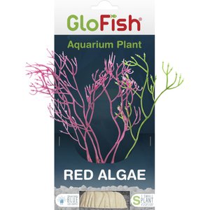 GloFish Red Algae Aquarium Plant