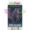 Show in main carousel: GloFish Red Algae Aquarium Plant slide 1 of 9