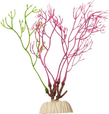 Show full view: GloFish Red Algae Aquarium Plant slide 3 of 9