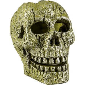 GloFish Skull Aquarium Ornament