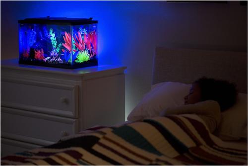 Show full view: GloFish Volcano Aquarium Ornament slide 7 of 9