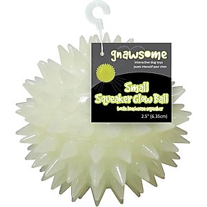 Gnawsome Glow-in-the-Dark Spiky Squeaky Dog Ball Toy, Small: 2.5-in