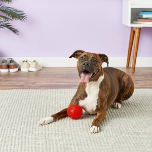 Gnawsome Squeak & Light LED Ball Dog Toy, Color Varies, Medium