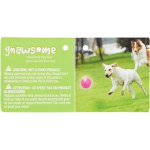 Gnawsome Squeak & Light LED Ball Dog Toy, Color Varies, Medium