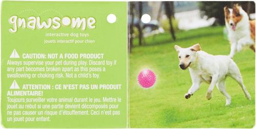 Show full view: Gnawsome Squeak & Light LED Ball Dog Toy, Color Varies, Medium slide 6 of 8