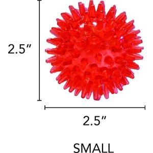 Gnawsome Squeaker Ball Dog Toy, Color Varies, Small
