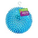 Gnawsome Squeaker Ball Dog Toy, Color Varies, X-Large