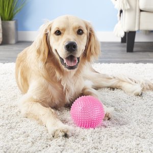 Gnawsome Squeaker Ball Dog Toy, Color Varies, X-Large