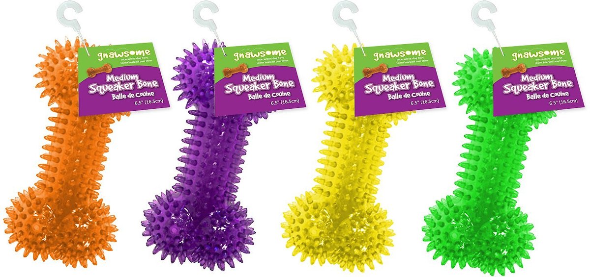 Gnawsome Squeaker Cactus Dog Chew Toy