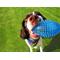 Show in main carousel: Gnawsome Squeaker Football Dog Toy, Color Varies, Medium slide 5 of 9